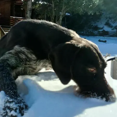 Luxury Chalet Tsek * Kalawrita