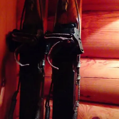 Domek alpejski Luxury Chalet Tsek