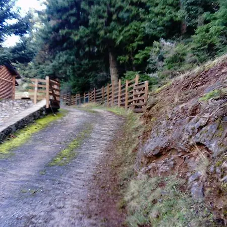 Luxury Chalet Tsek *