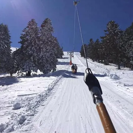 Domek alpejski Luxury Chalet Tsek
