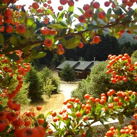 Luxury Chalet Tsek