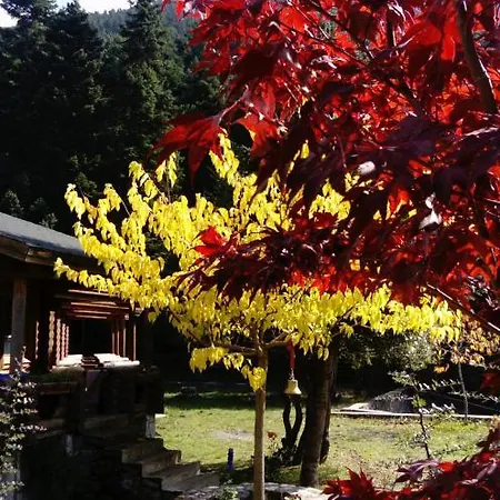 Шале Luxury Chalet Tsek *