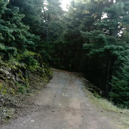 Luxury Chalet Tsek Шале