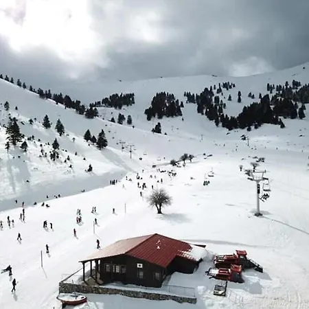 Шале Luxury Chalet Tsek *